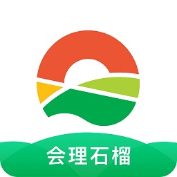 会理石榴电商平台
