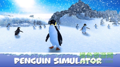 企鹅模拟器游戏 v1.0 安卓版1