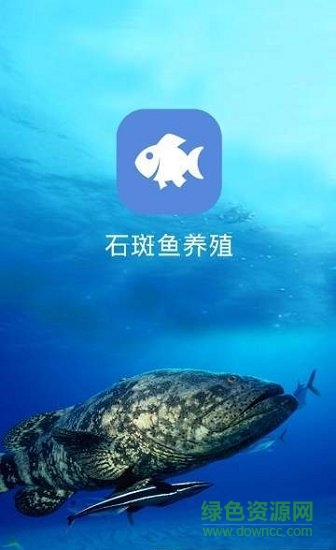 石斑鱼养殖 v1.0.0 安卓版0