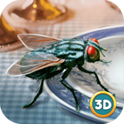 苍蝇模拟器游戏下载