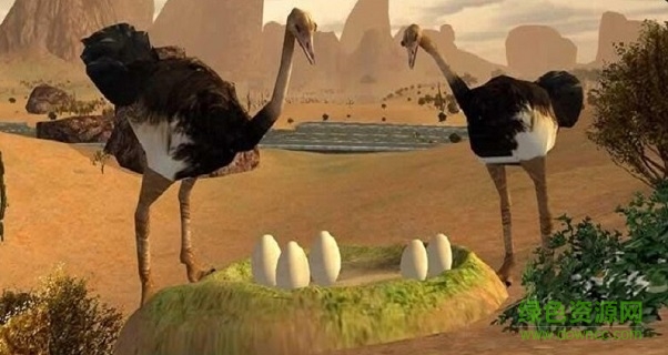 终极鸵鸟模拟器内购(Ostrich Bird Simulator 3D) v1.0.0 安卓版1