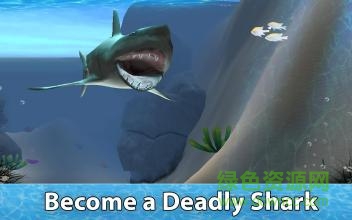 小格解说鲨鱼生存模拟器(Shark Simulator) v1.03 安卓手机版0