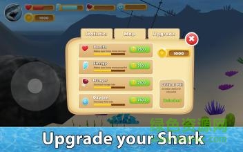 小格解说鲨鱼生存模拟器(Shark Simulator) v1.03 安卓手机版3