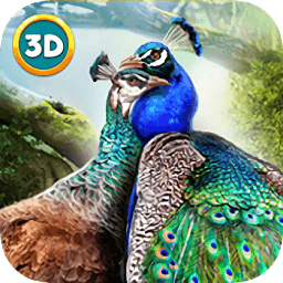 孔雀模拟器中文版(Peacock Simulator 3D)