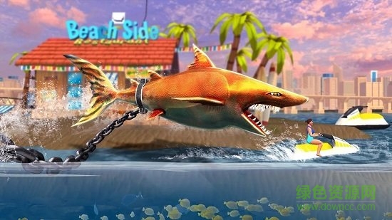 双头鲨游戏最新版 v8.6 安卓版1
