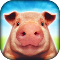 小猪猪模拟器游戏下载