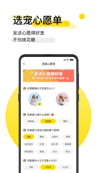 共寵最新版 v1.4.5 安卓版 2