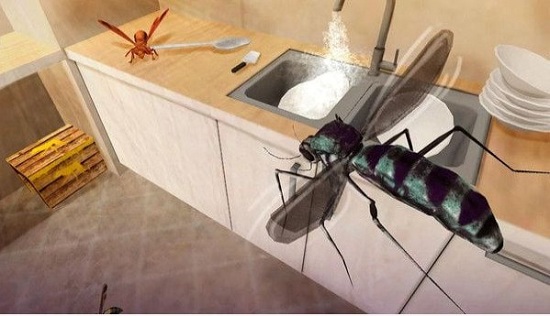 蚊子家庭生活模拟器3d v1.0 安卓版0
