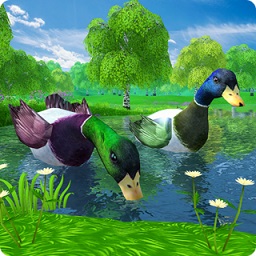 鸭子丛林模拟器中文版下载
