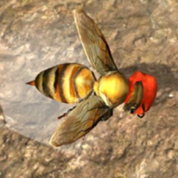 蜂巢模拟器3D中文版
