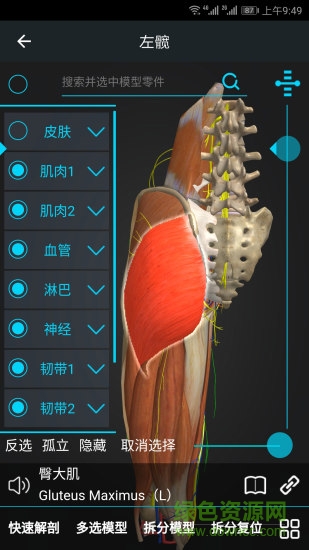 医维度人体解剖 v2.4.5 安卓版3