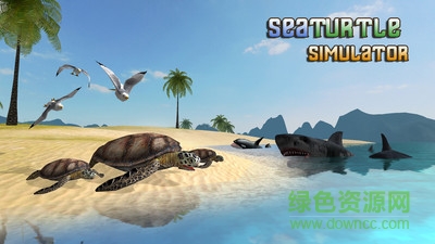 海龟模拟器游戏手机版 v1.12 安卓版3