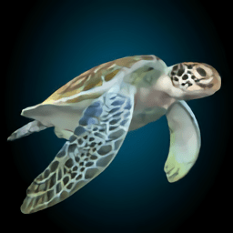 海龟模拟器游戏手机版