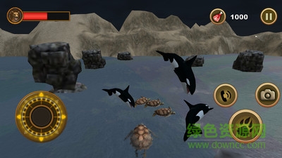 海龟模拟器游戏手机版 v1.12 安卓版1