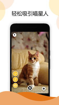 猫咪相机软件 v1.0 安卓版2