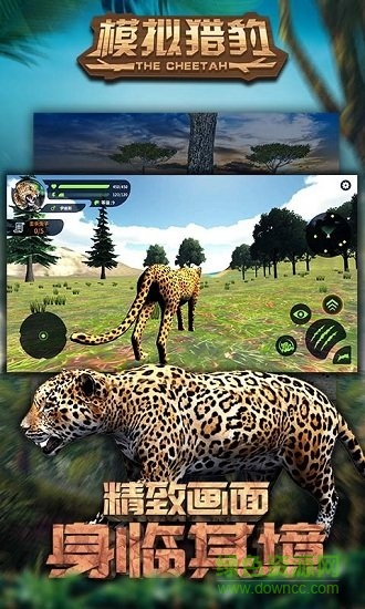 模拟猎豹中文版 v1.0.0 安卓版1