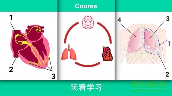 現(xiàn)實(shí)醫(yī)療模擬器游戲下載