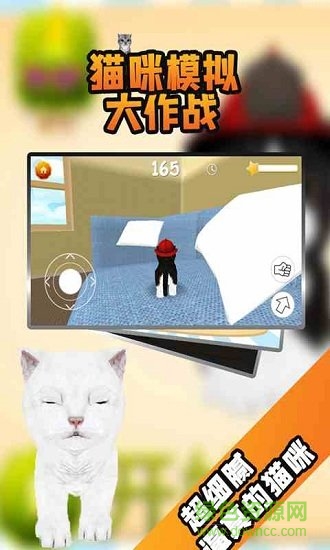 猫咪模拟大作战 v3.5.0 安卓版0