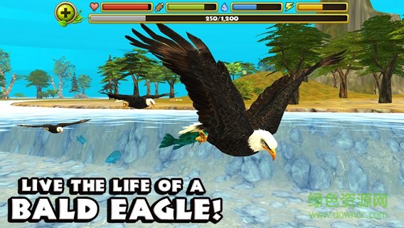 模拟猎鹰中文版(Eagle Simulator) v1.0 安卓版2