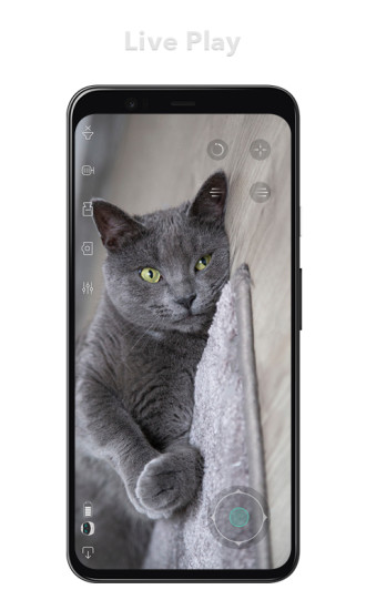 一宝手机客户端ebo(黑科技逗猫) v1.5.3 安卓版2