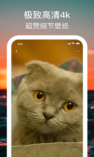 手机壁纸4k超清壁纸ios版 v1.0 iphone版1