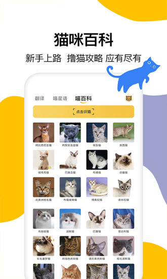 猫语翻译软件免费版 v1.6 安卓版2
