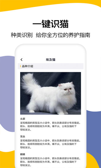 猫语翻译软件免费版 v1.6 安卓版3