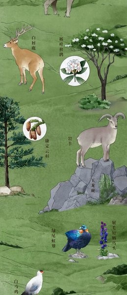 中国珍稀动植物分布图2021 高清版2
