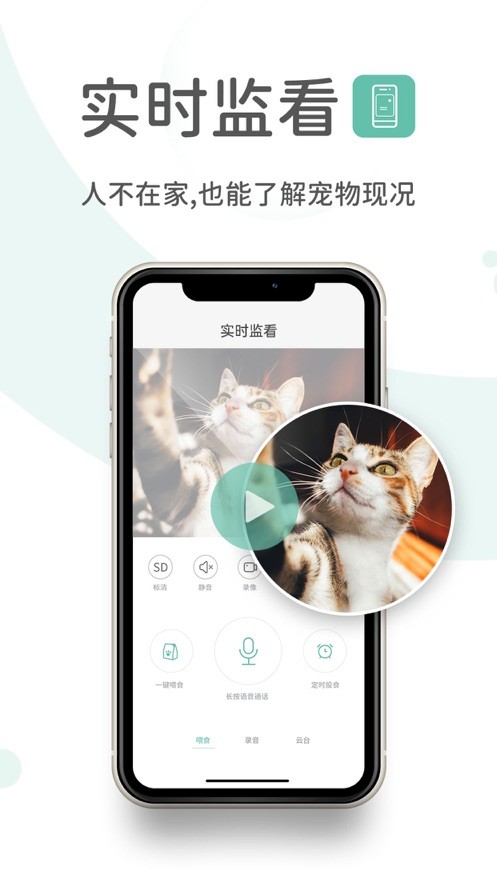 云阔宠物app下载