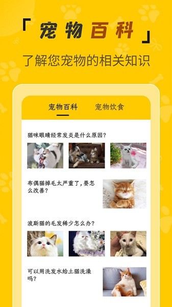 人猫翻译机免费版