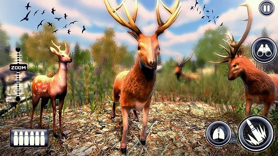 野鹿猎人狩猎手游(Wild Deer hunter) v1.0.9 安卓版0