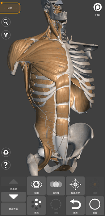 3d anatomy for artist手机版 v2.0.10 官方最新版0