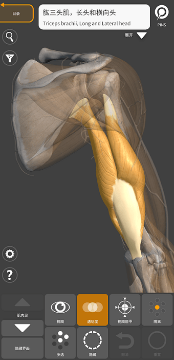 3d anatomy for artist手机版 v2.0.10 官方最新版3