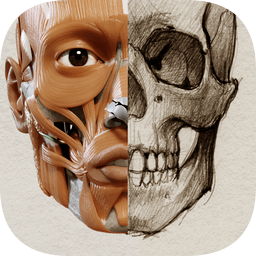 3d anatomy for artist手机版