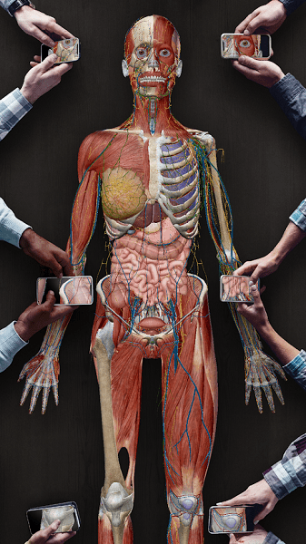 human anatomy atlas 2021 v2021.2.27 安卓手机版0
