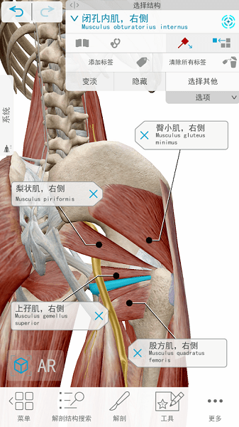 human anatomy atlas 2021 v2021.2.27 安卓手机版2