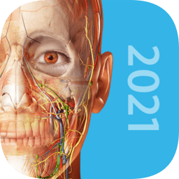human anatomy atlas 2021