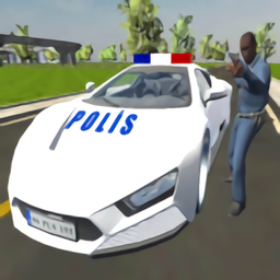 真正的豪华警车(Real Police Car Game)