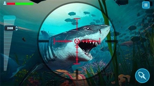 幸存者鲨鱼 v1.25 安卓版1