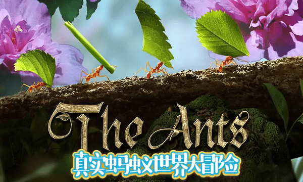 蚂蚁文托模拟器免费版