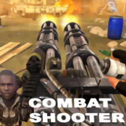 团队死亡竞赛(combat shooter)