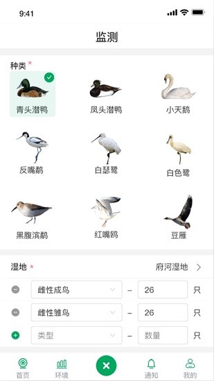 青頭潛鴨app