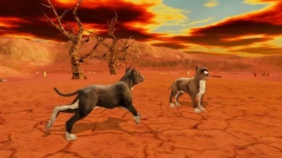 比特犬模擬器游戲(Pitbull Dog Simulator)1