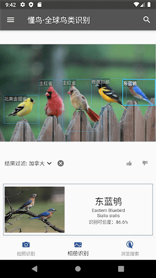 懂鸟全球鸟类识别软件 v0.0.10 安卓版1