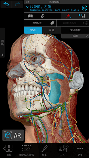 atlas解剖模型软件 v2020.0.71 安卓版 2