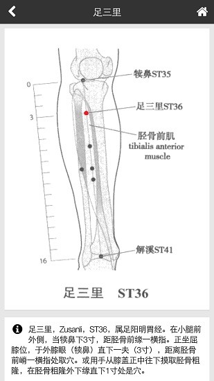 中醫(yī)全科專家系統(tǒng)軟件 v7.9 安卓版 3