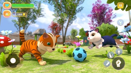 猫咪治愈屋(Cute Kitten Simulating Game) v2.1 安卓版2