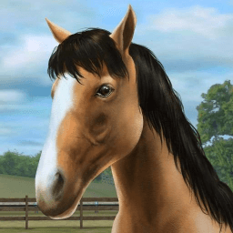 我的马儿(My Horse)