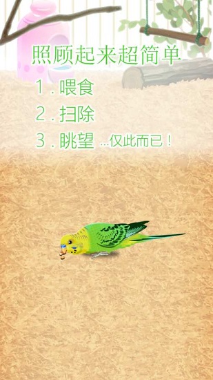 治愈的鹦鹉育成parakeet v1.0 安卓版0