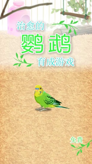治愈的鹦鹉育成parakeet v1.0 安卓版1